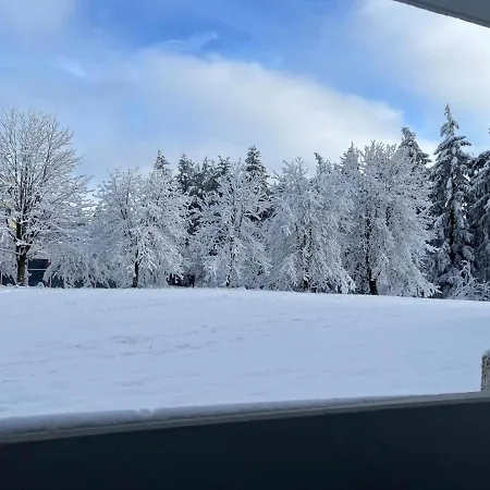 Auenglueck Hahnenklee Harz Apartment *