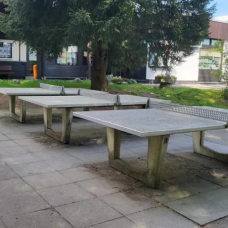 Auenglueck Hahnenklee Harz 公寓