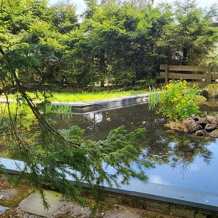 Auenglueck Hahnenklee Harz *