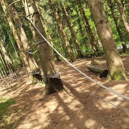 Auenglueck Hahnenklee Harz * 戈斯拉尔