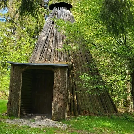 Auenglueck Hahnenklee Harz Διαμέρισμα Γκόσλαρ