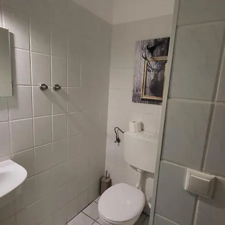 Auenglueck Hahnenklee Harz *