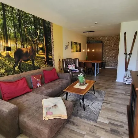 Apartment Auenglueck Hahnenklee Harz Goslar