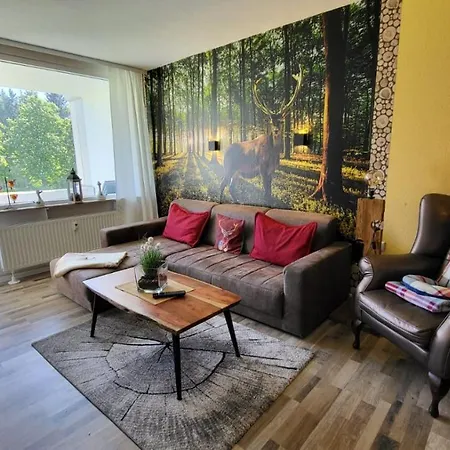 Auenglueck Hahnenklee Harz Apartment