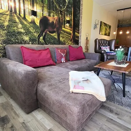 Auenglueck Hahnenklee Harz Apartment Goslar