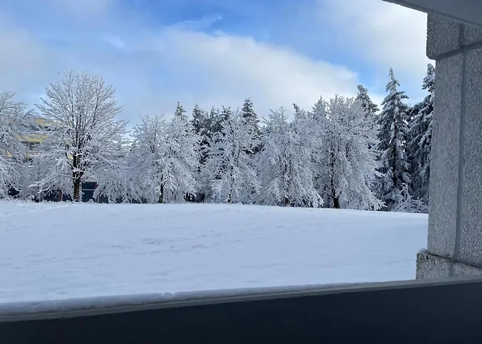 Auenglück Hahnenklee Harz Apartamento *