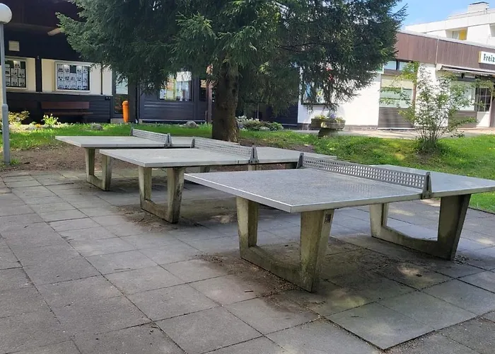 Auenglück Hahnenklee Harz Apartamento