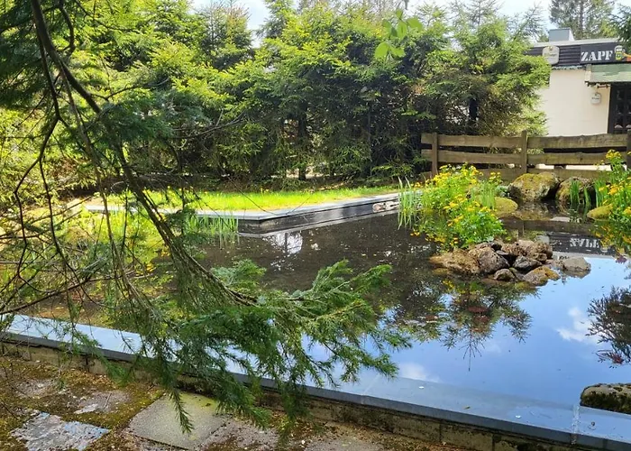 Auenglück Hahnenklee Harz *