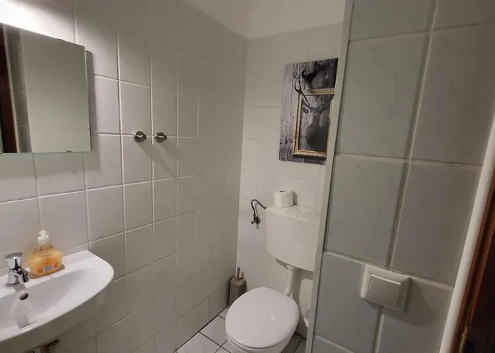 Auenglück Hahnenklee Harz *