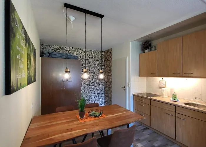 Auenglück Hahnenklee Harz Apartamento *