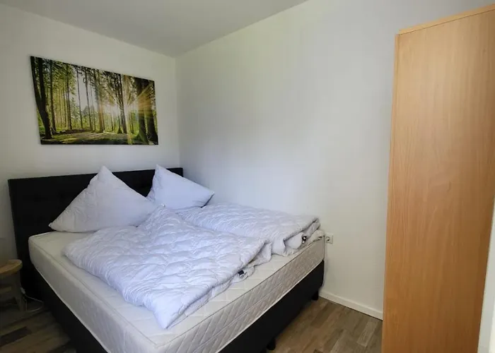 Auenglück Hahnenklee Harz *